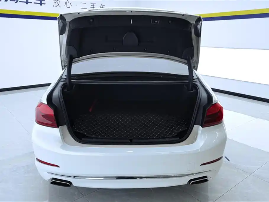 BMW 5 SERIES NEW ENERGY