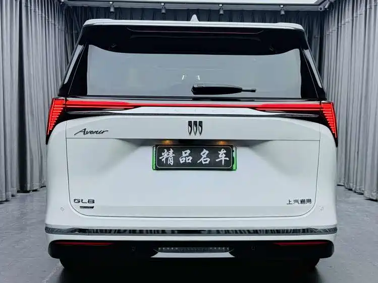 BUICK GL8 NEW ENERGY