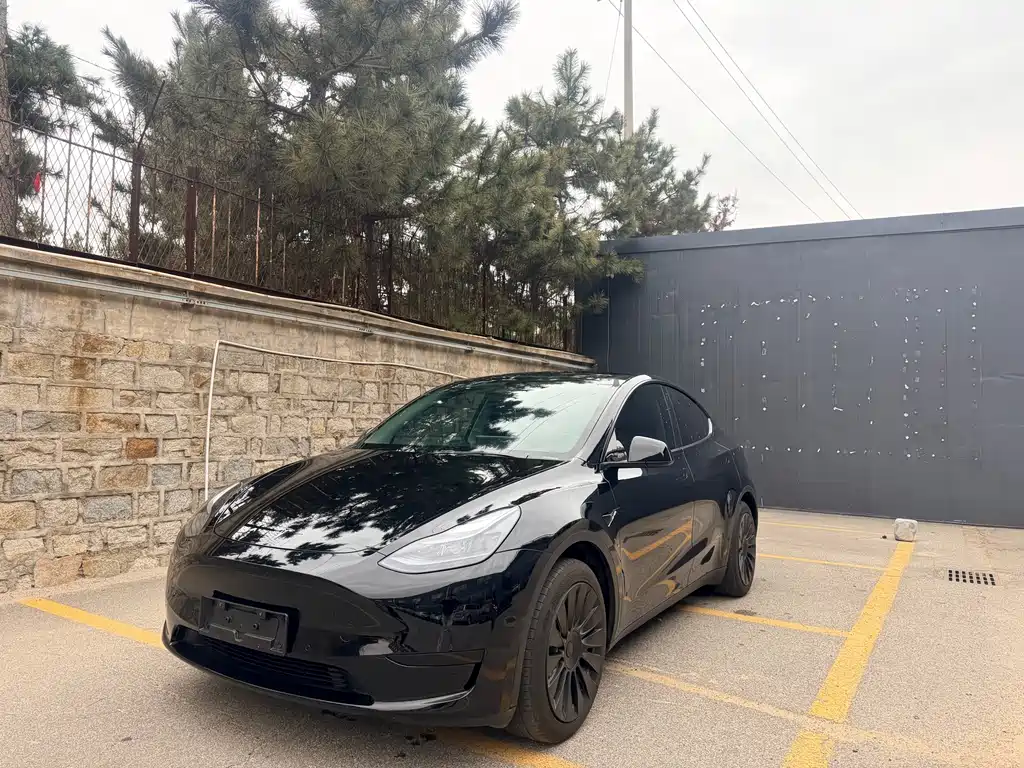 TESLA MODEL Y