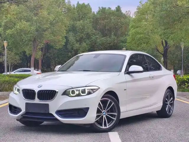 BMW 2 SERIES 2018
