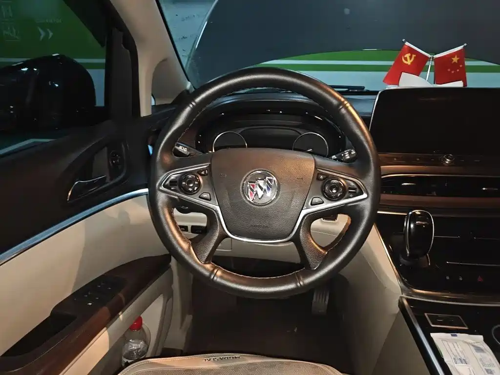 Buick GL8 — миниатюра 11