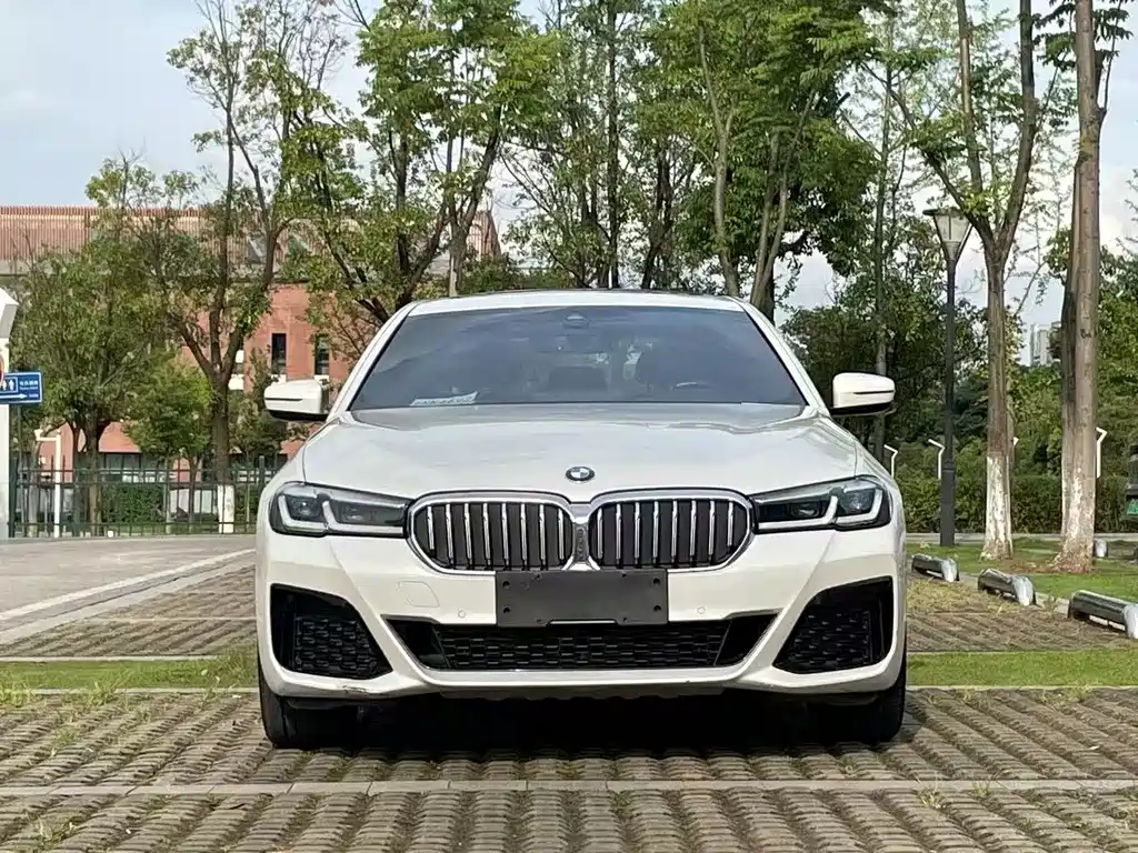 BMW 5 Series — миниатюра 2