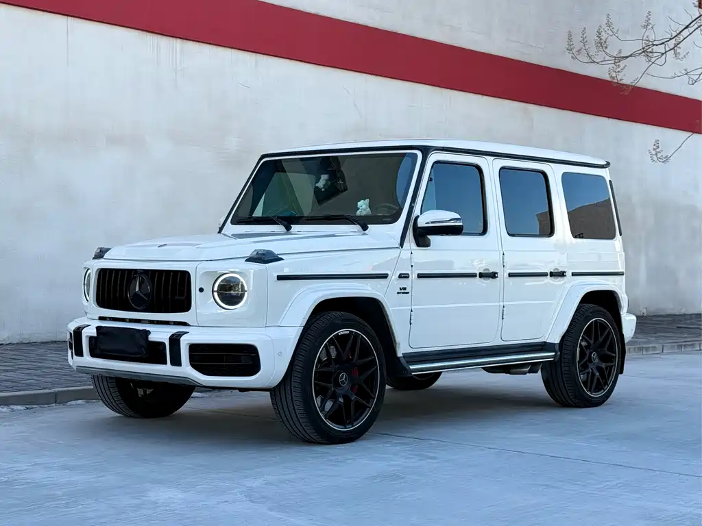 MERCEDES-BENZ G CLASS
