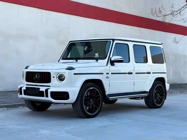 MERCEDES-BENZ G CLASS 2020