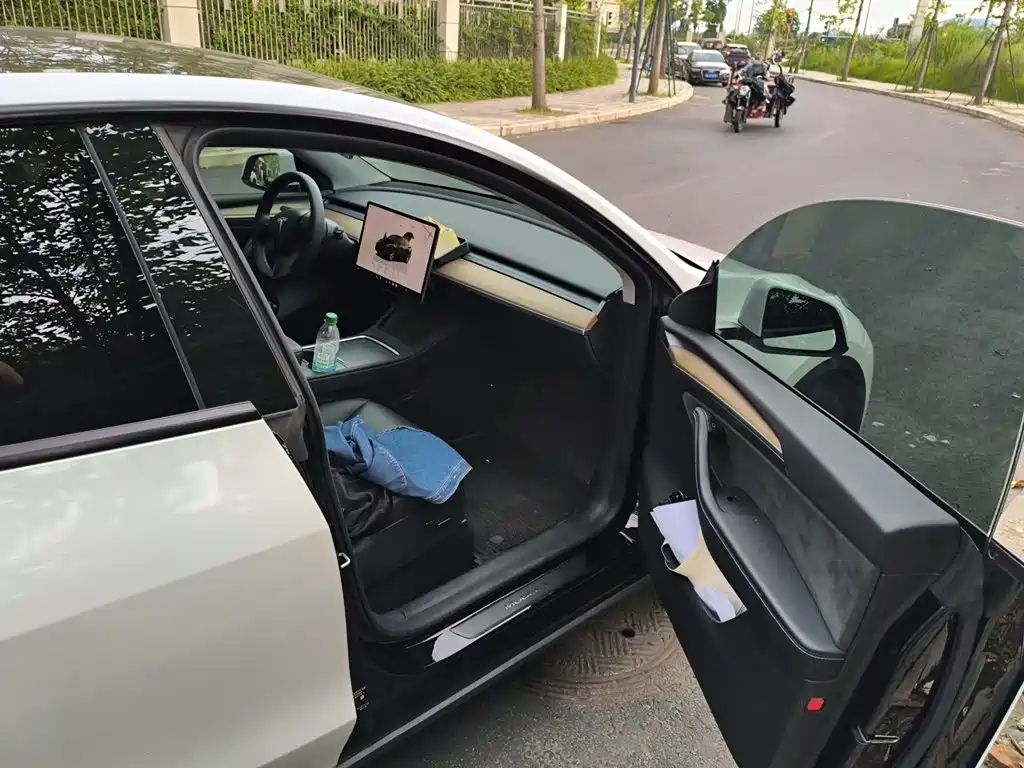 Tesla Model Y — миниатюра 19
