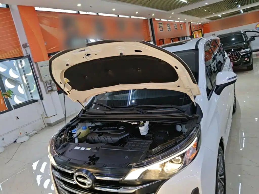 GAC Motor Trumpchi M6 — миниатюра 20