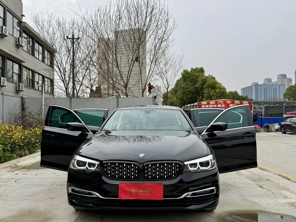 BMW 5 Series 5 2019 530Li Lead Luxury