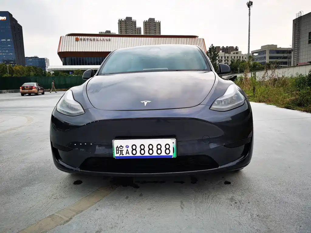 Tesla Model Y — миниатюра 2