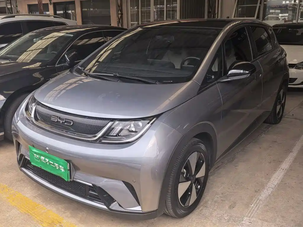 BYD Dolphin — миниатюра 2