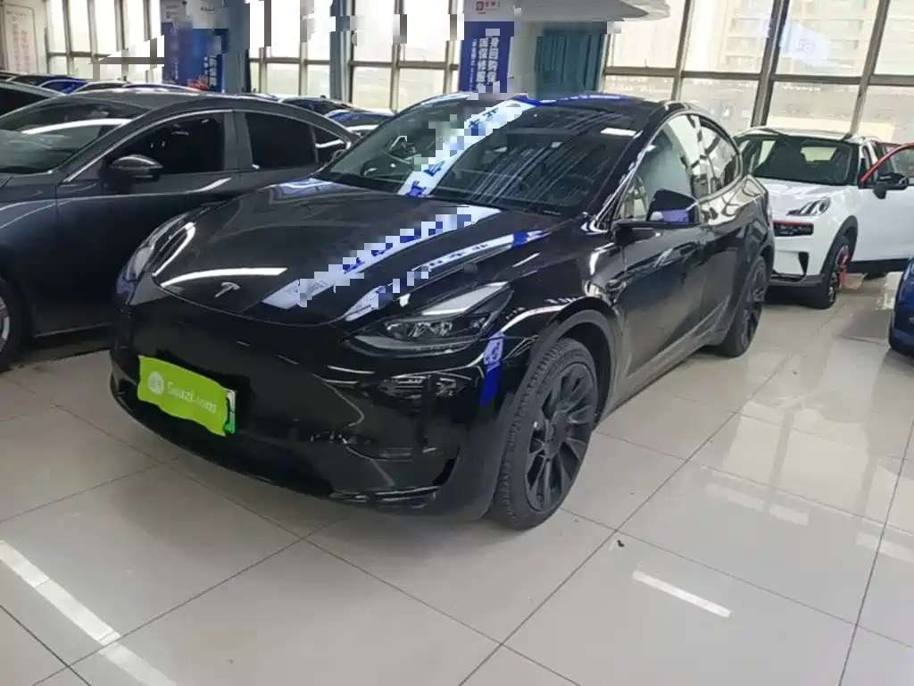 Tesla Model Y — миниатюра 2