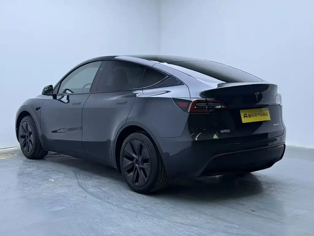 Tesla Model Y — миниатюра 6