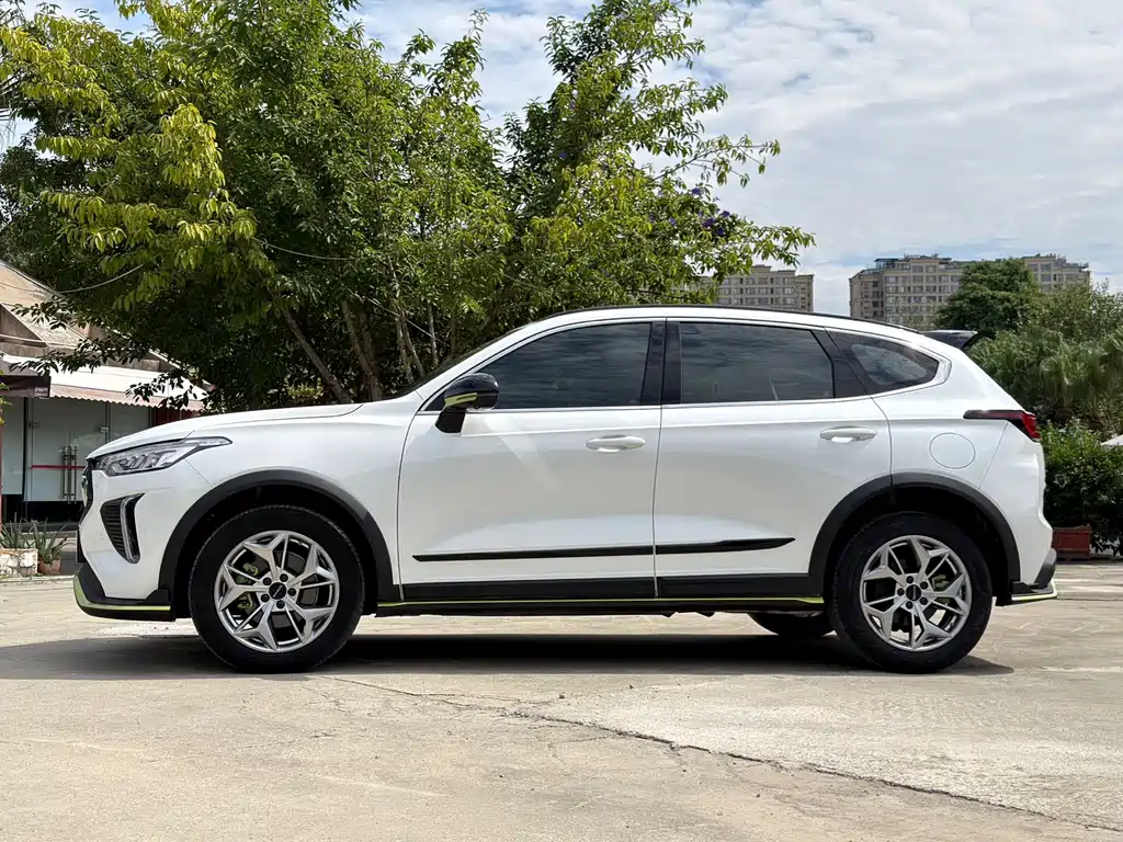 Haval Chitu — миниатюра 7