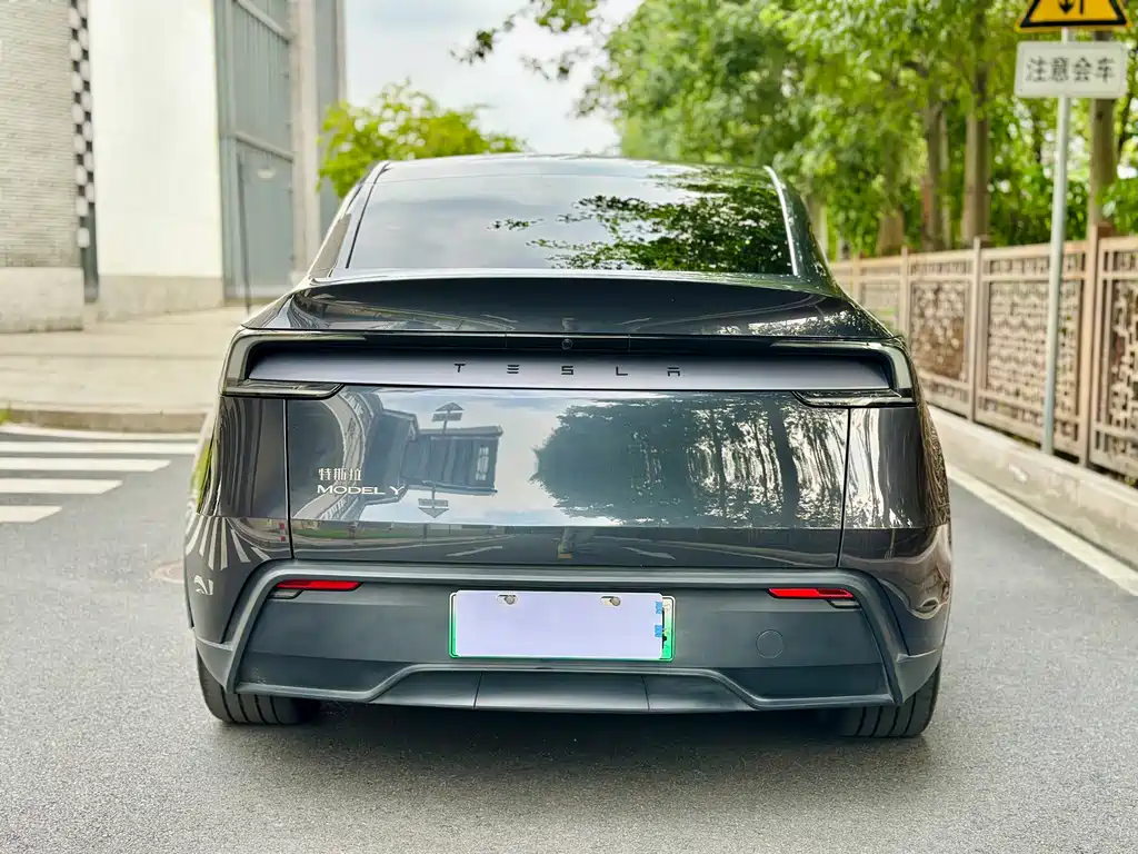 Tesla Model Y — миниатюра 5