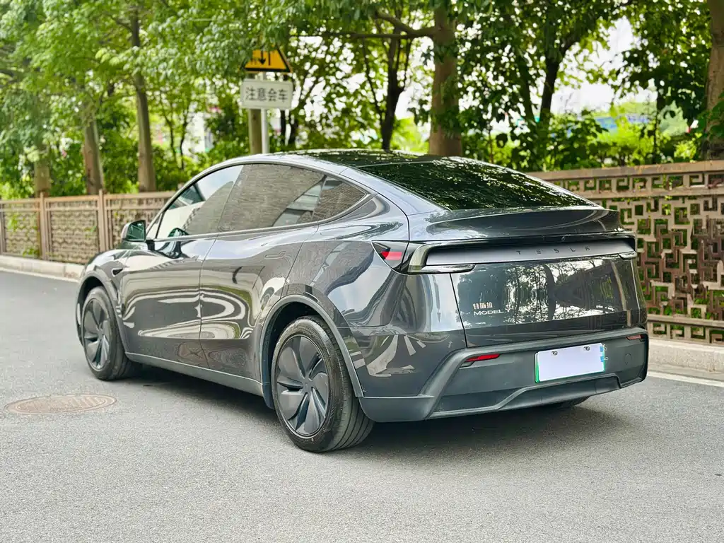 Tesla Model Y — миниатюра 4