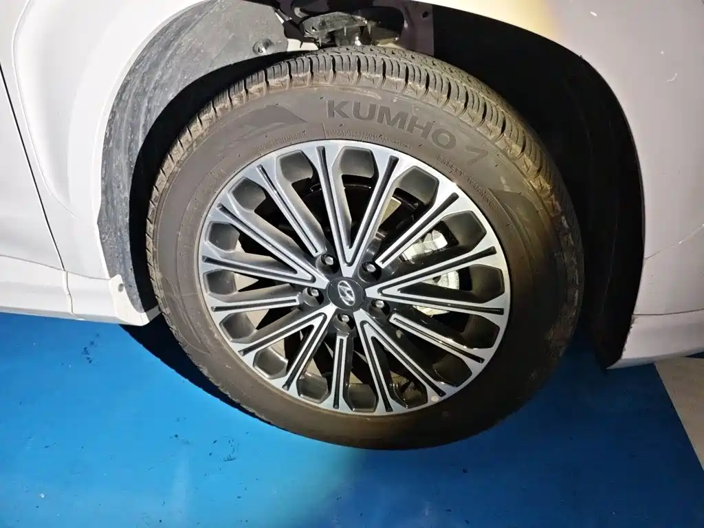 Hyundai Custo — миниатюра 24