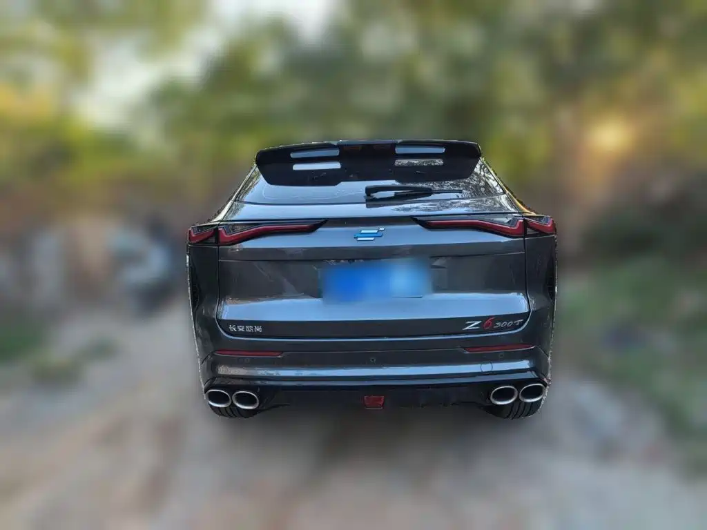 Oshan Oushang Z6 — миниатюра 3