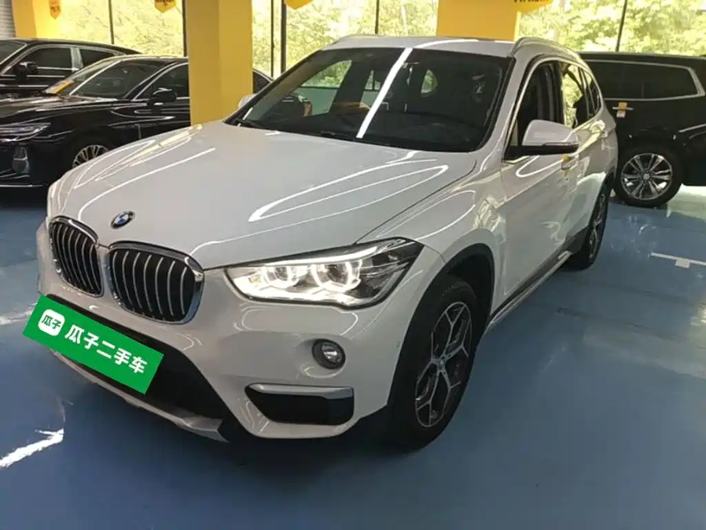 BMW X1 — миниатюра 2