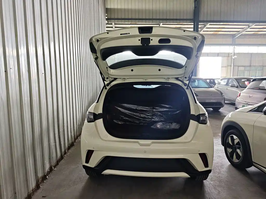 BYD Dolphin — миниатюра 19