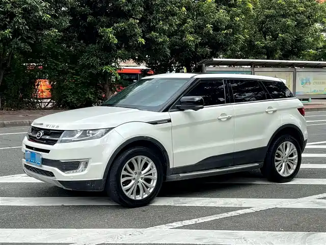 LU FENG LUFENG X7 2017