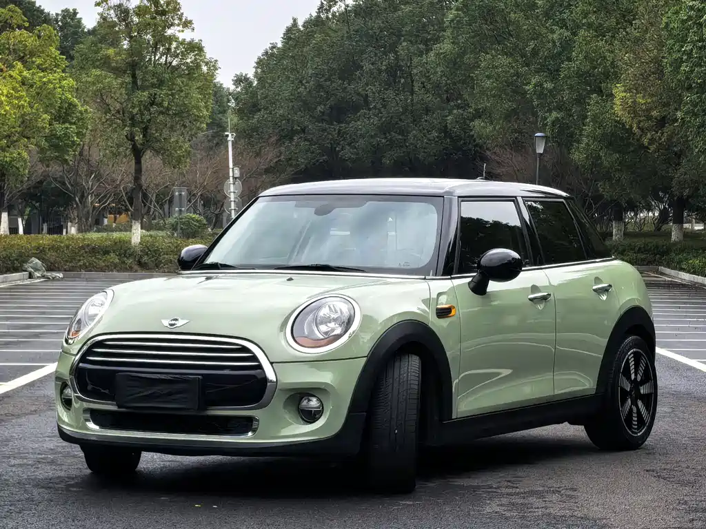 Mini Mini 2018