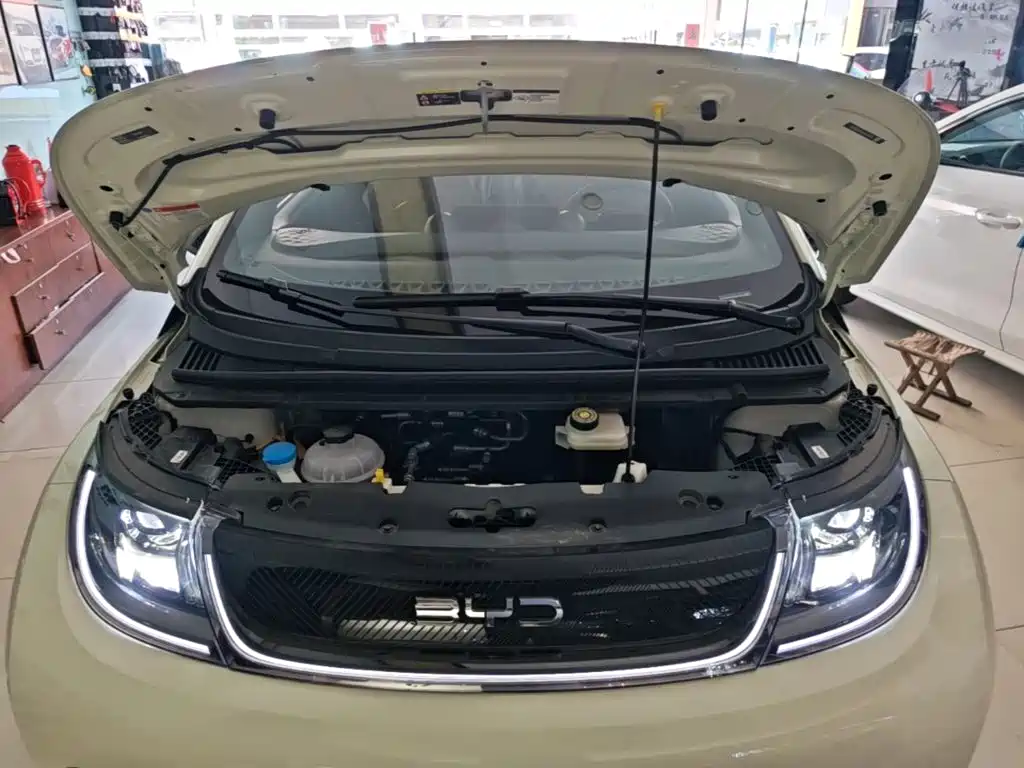 BYD Dolphin — миниатюра 20