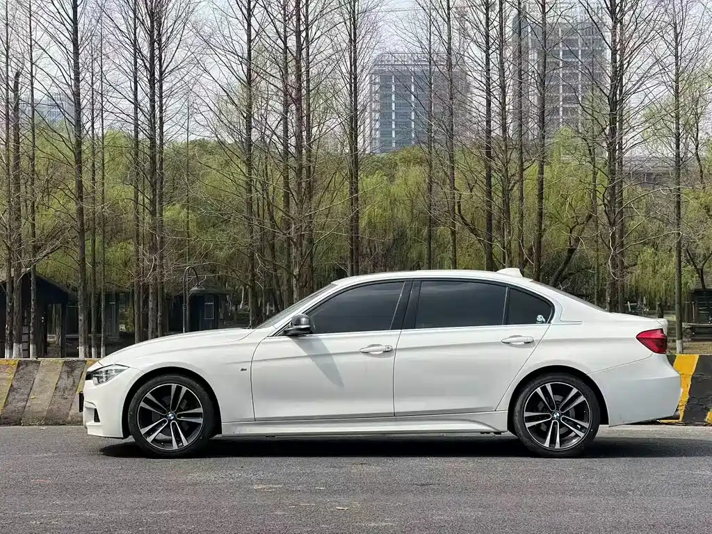 BMW 3 Series 3 2019 320Li Fashion