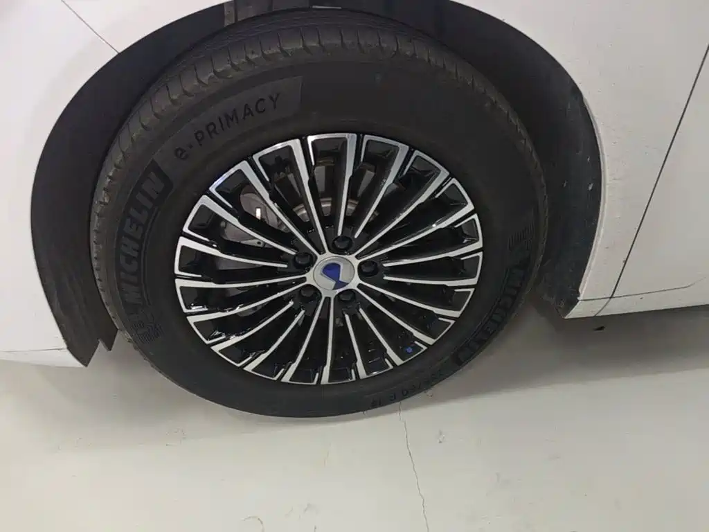 Denza Denza D9 — миниатюра 23