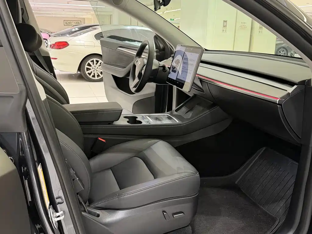 Tesla Model Y — миниатюра 9