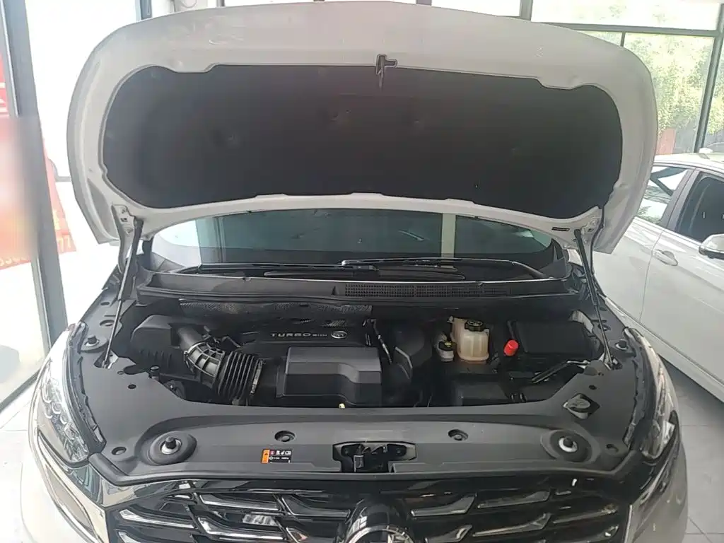 Buick GL8 — миниатюра 20