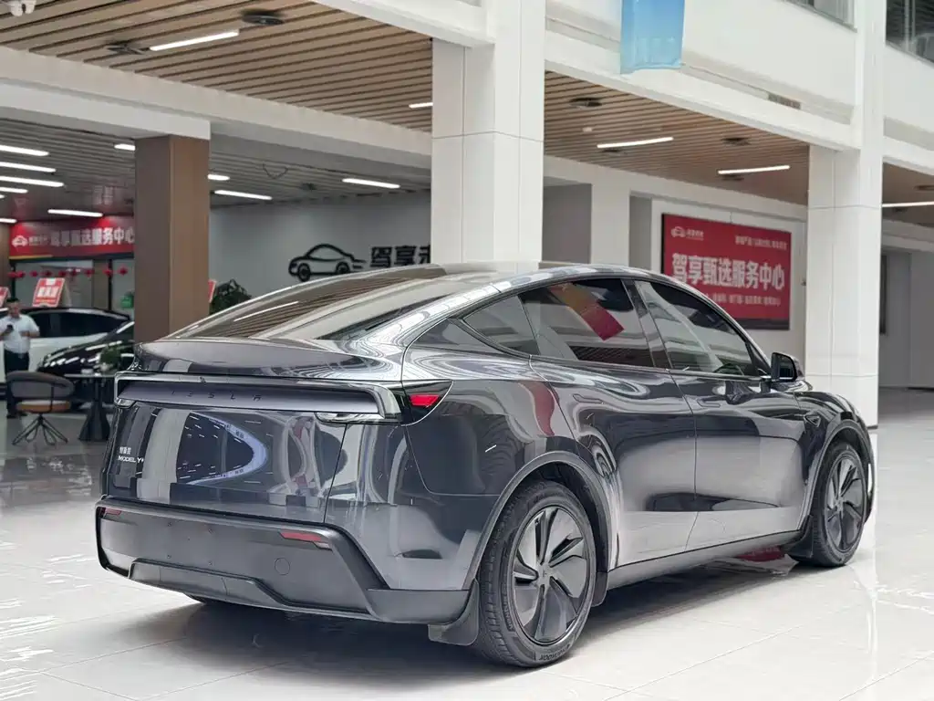 Tesla Model Y — миниатюра 5