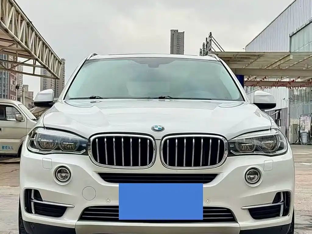BMW X5 (Import) — миниатюра 2