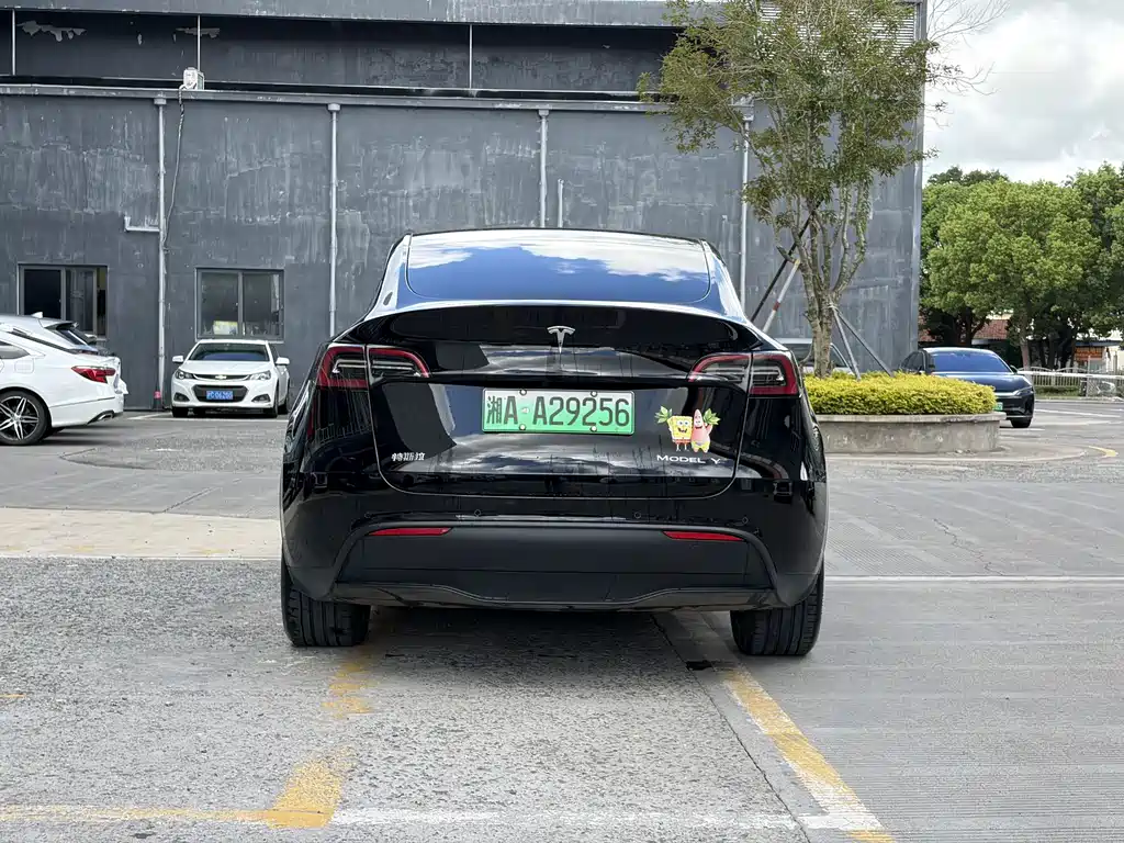 Tesla Model Y — миниатюра 4