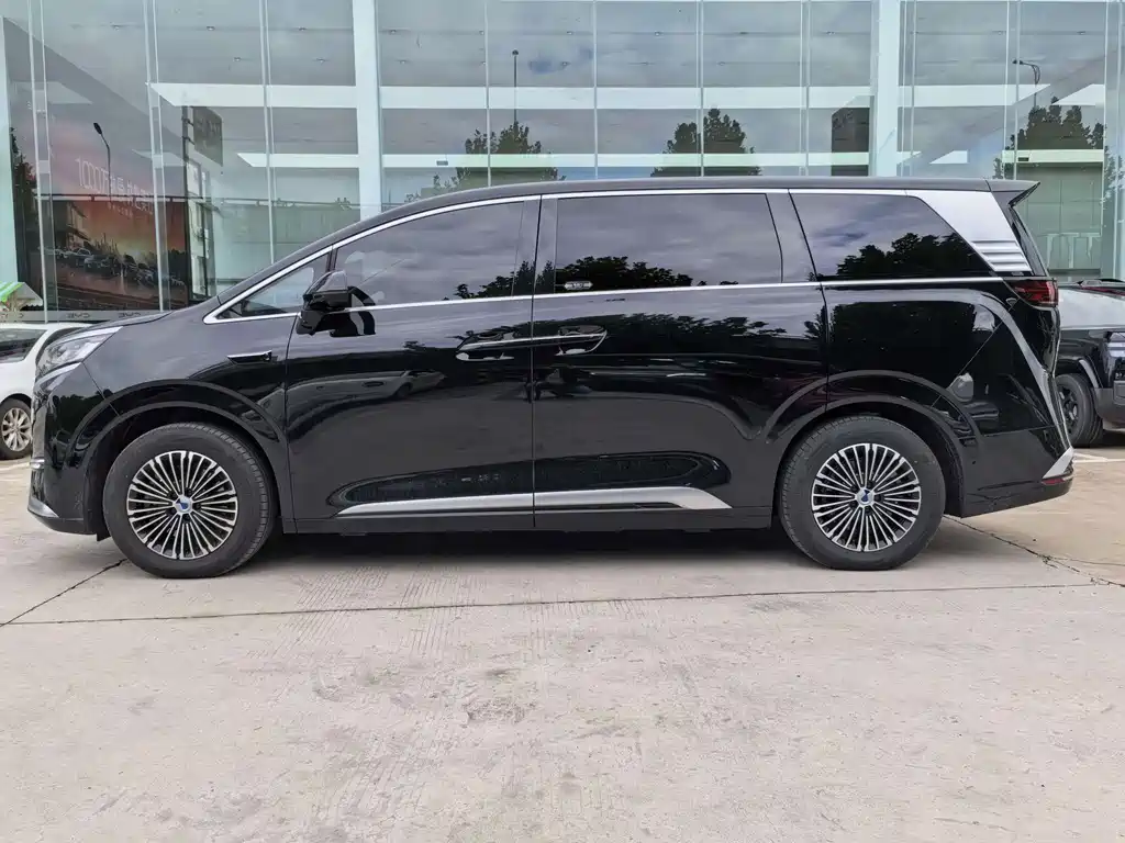 Denza Denza D9 — миниатюра 10