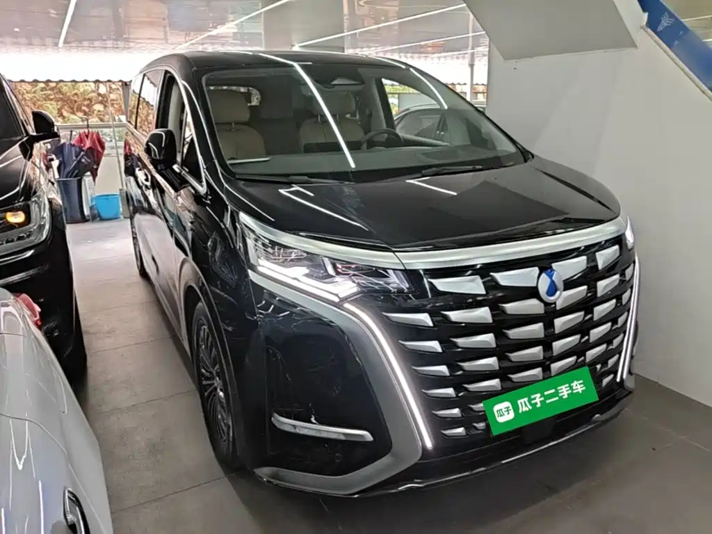 Denza Denza D9 — миниатюра 4
