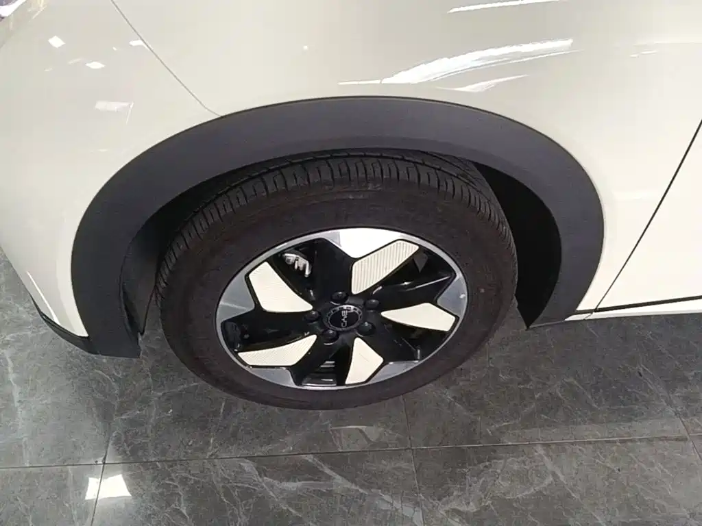 BYD Dolphin — миниатюра 23