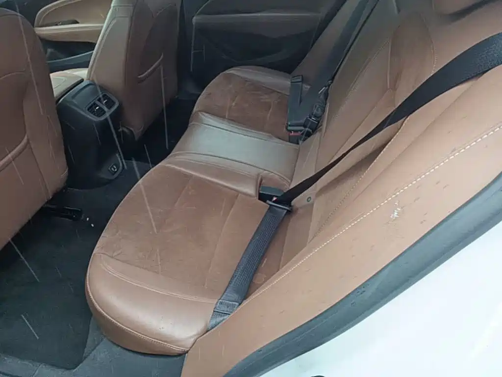 Buick Regal — миниатюра 17