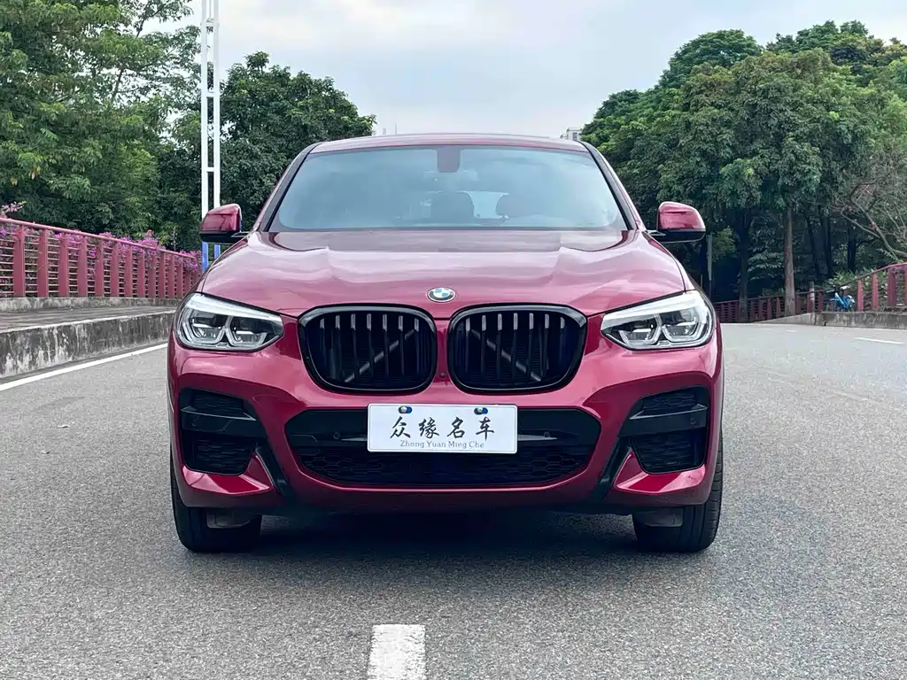 BMW X4 — миниатюра 2
