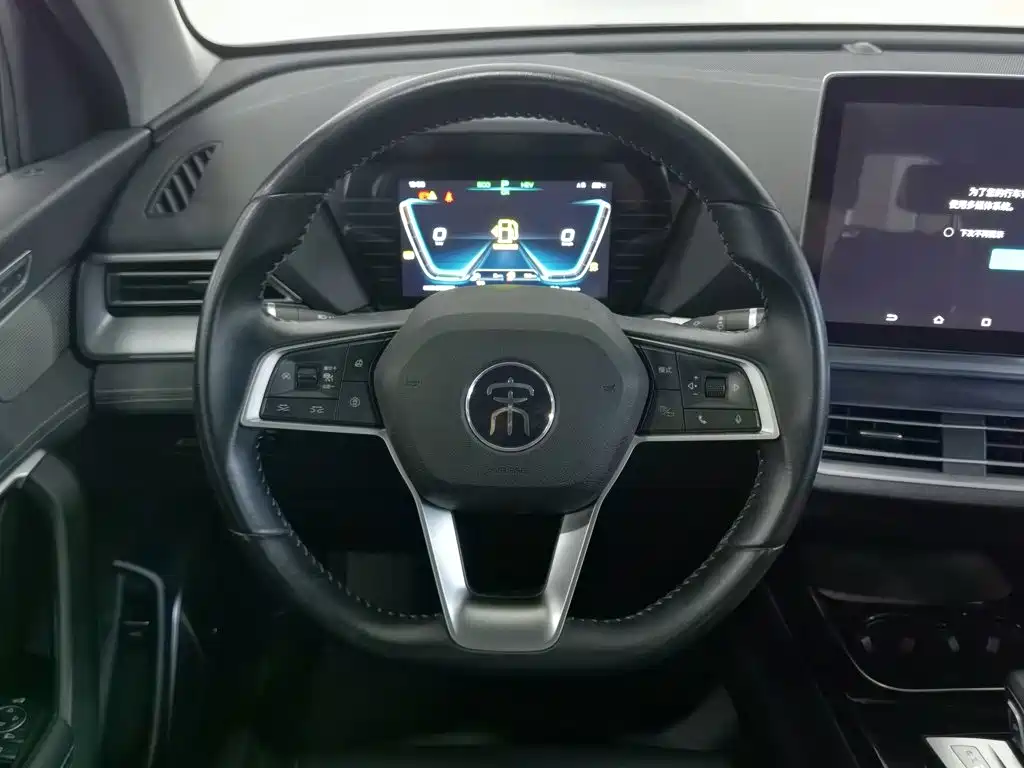 BYD Pro New Energy — миниатюра 11