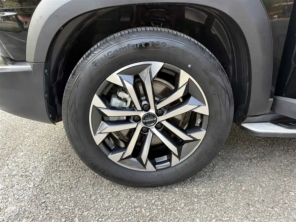 Haval Big Dog — миниатюра 41