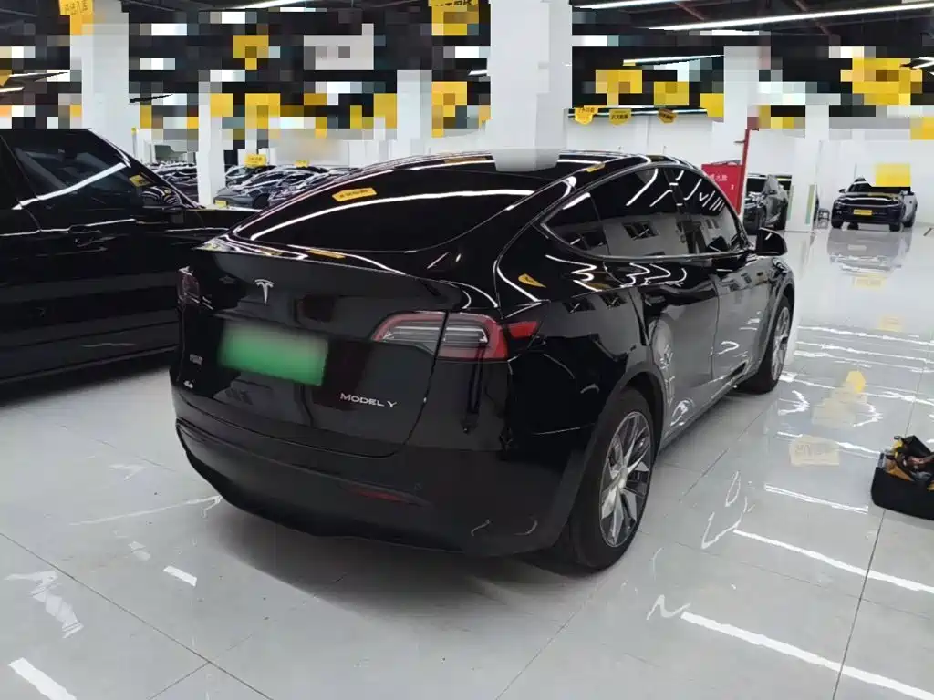 Tesla Model Y — миниатюра 7