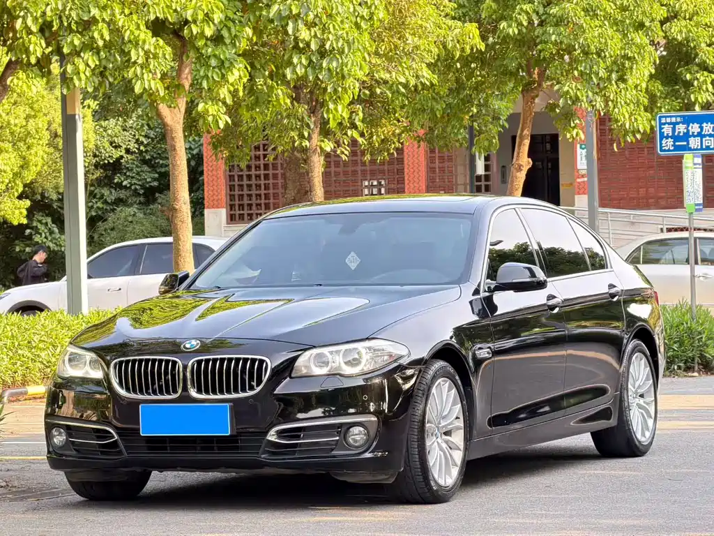 BMW 5 Series 2014