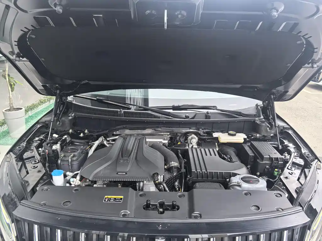 RED FLAG HONGQI HS7 PHEV