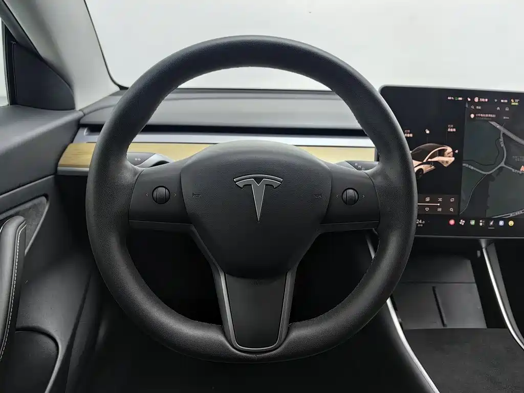 Tesla Model 3 — миниатюра 11
