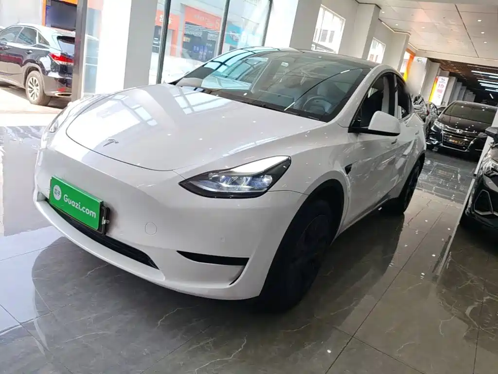 Tesla Model Y — миниатюра 2