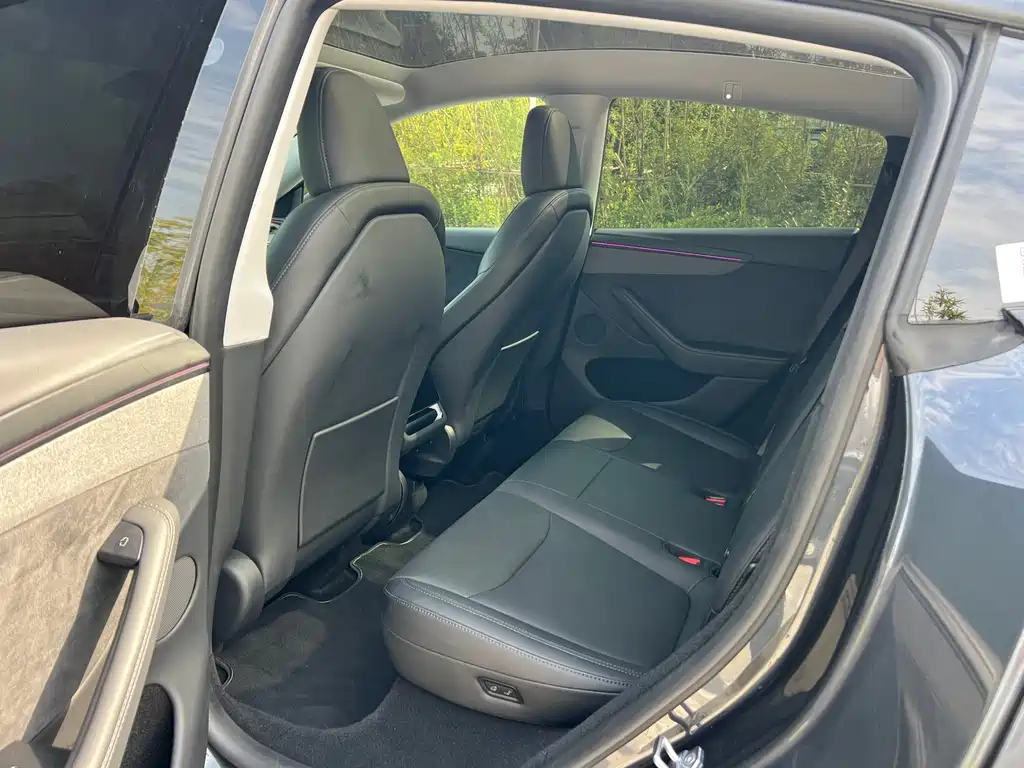 Tesla Model Y — миниатюра 6