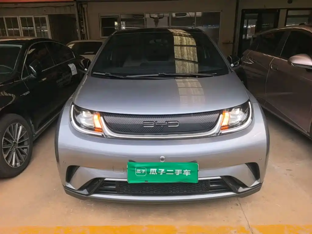 BYD Dolphin — миниатюра 3