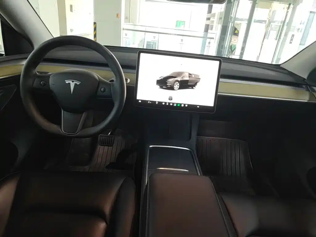 Tesla Model Y — миниатюра 5