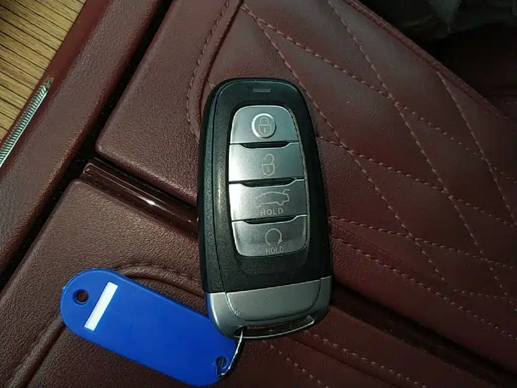 Hongqi Hongqi E-HS9 — миниатюра 9