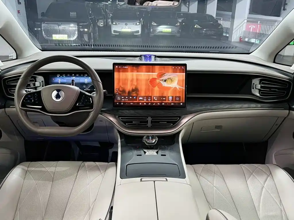 Denza Denza D9 — миниатюра 9