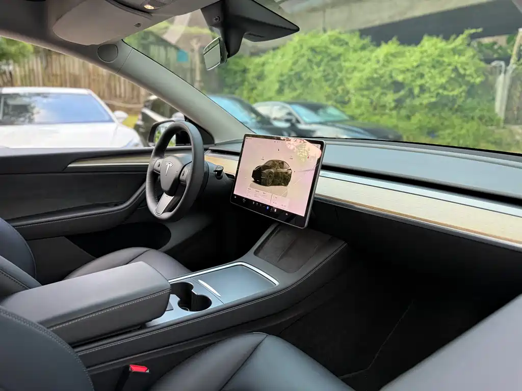 Tesla Model Y — миниатюра 16